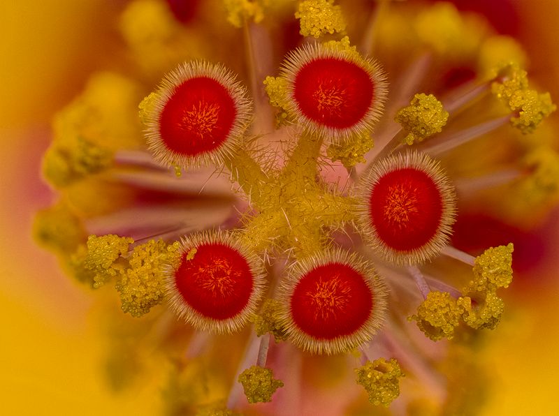 2024-05-28-12.27.55 ZS PMax_openWith.jpg