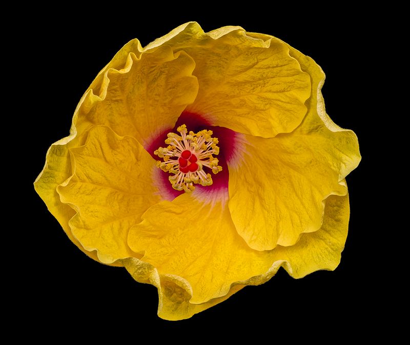 2024-05-30-10.03.50 ZS retouched_openWith.jpg