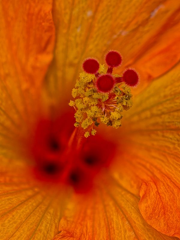 2024-05-30-03.08.56 ZS PMax_openWith.jpg