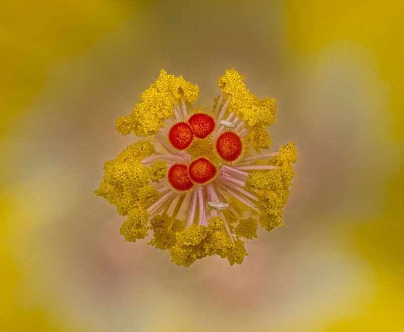 2024-05-30-05.20.23 ZS retouched_openWith.jpg