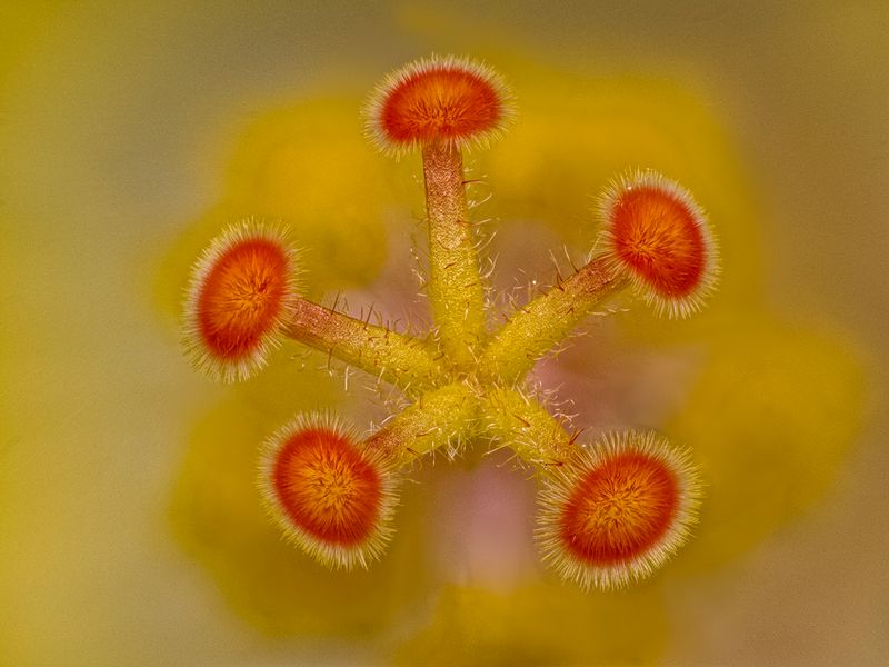 2024-05-31-04.27.57 ZS PMax_openWith.jpg