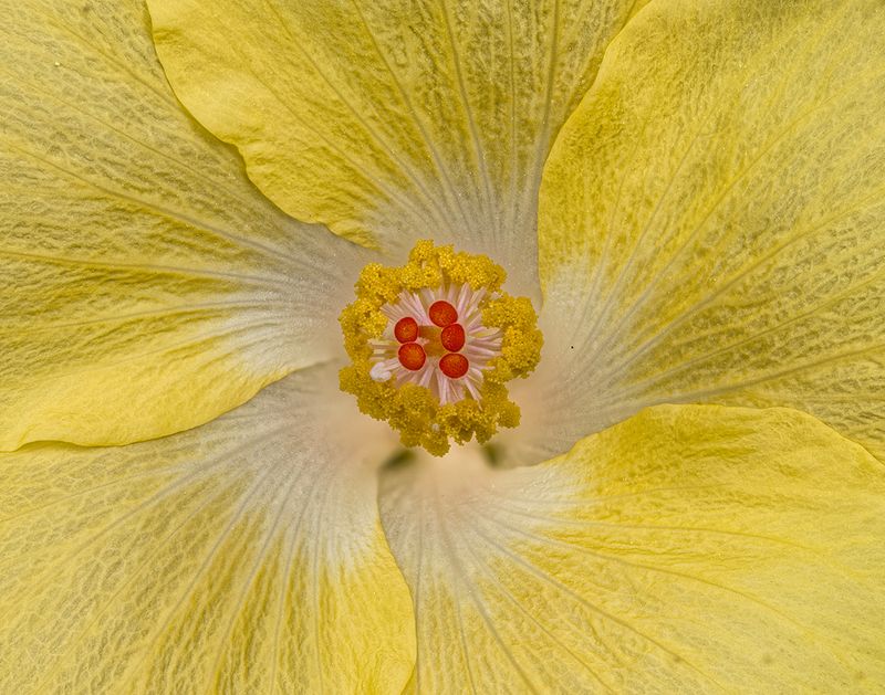 2024-06-03-10.32.20 ZS PMax_openWith.jpg