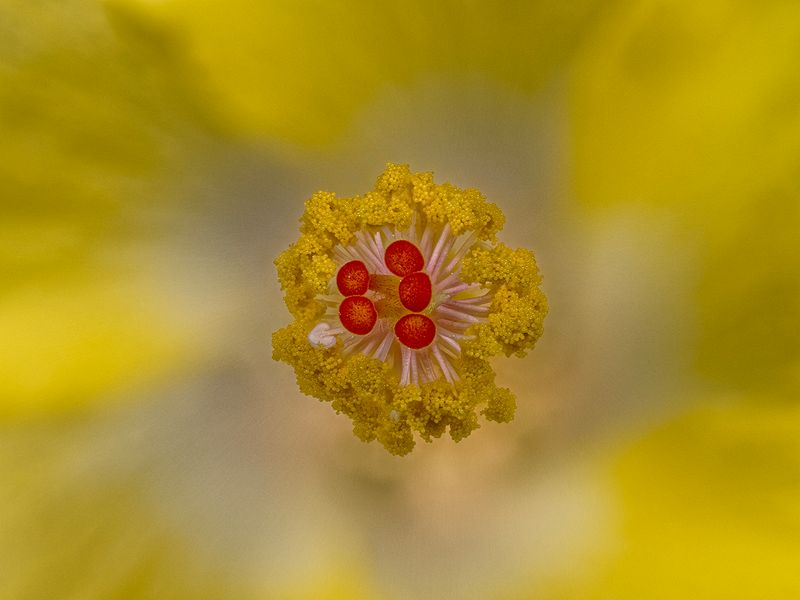 2024-06-03-10.48.15 ZS PMax_openWith.jpg