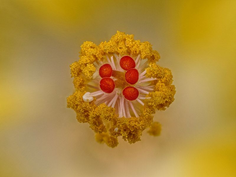 2024-06-03-11.49.50 ZS retouched_openWith.jpg