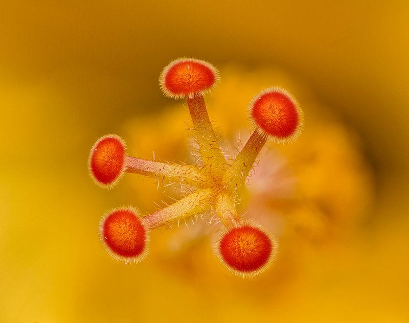 2024-06-04-08.06.07 ZS PMax_openWith.jpg