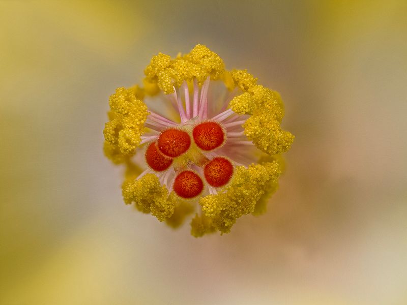 2024-06-05-10.59.31 ZS retouched_openWith.jpg