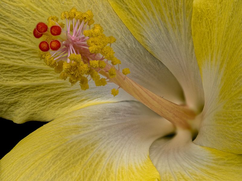 2024-06-05-03.29.33 ZS retouched_openWith.jpg