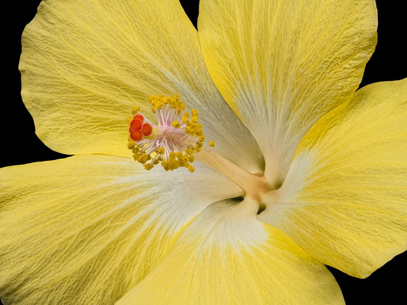 2024-06-06-04.22.27 ZS retouched_openWith.jpg