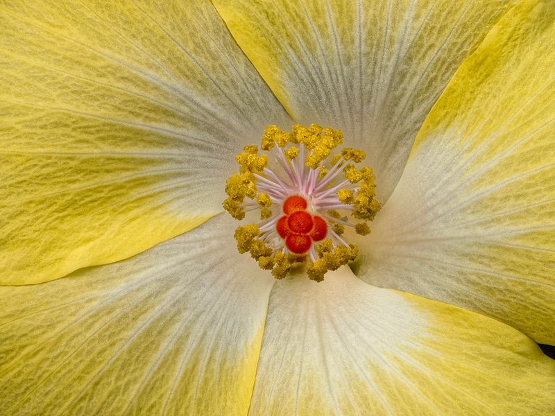 2024-06-06-07.09.26 ZS retouched_openWith.jpg