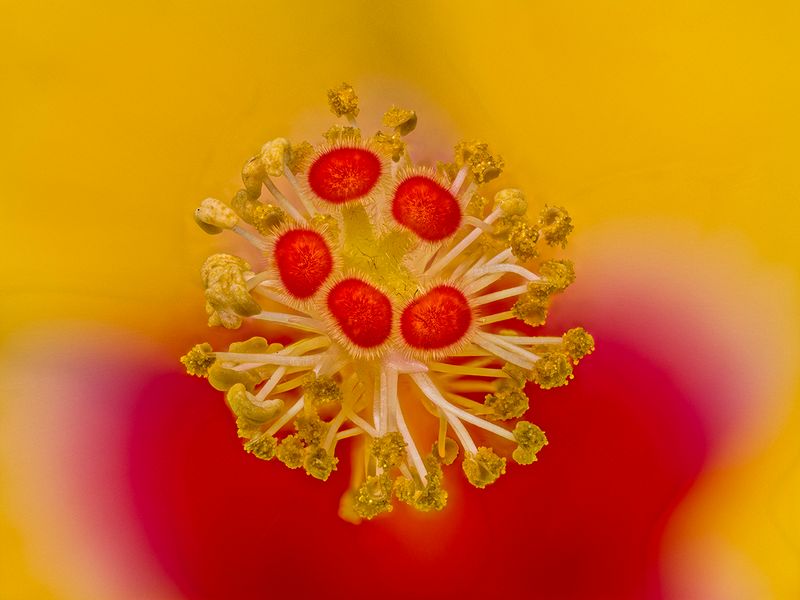 2024-06-21-02.54.07 ZS retouched_openWith.jpg