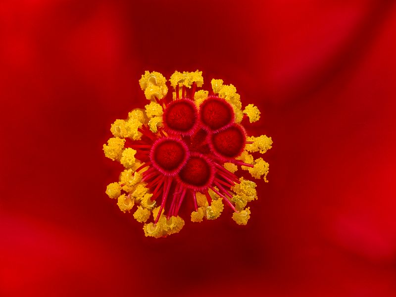 2024-06-24-02.22.37 ZS retouched_openWith.jpg