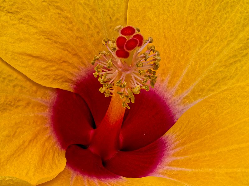 2024-06-30-01.17.12 ZS retouched_openWith.jpg