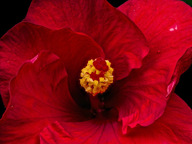 2024-06-30-08.53.59 ZS retouched_openWith.jpg