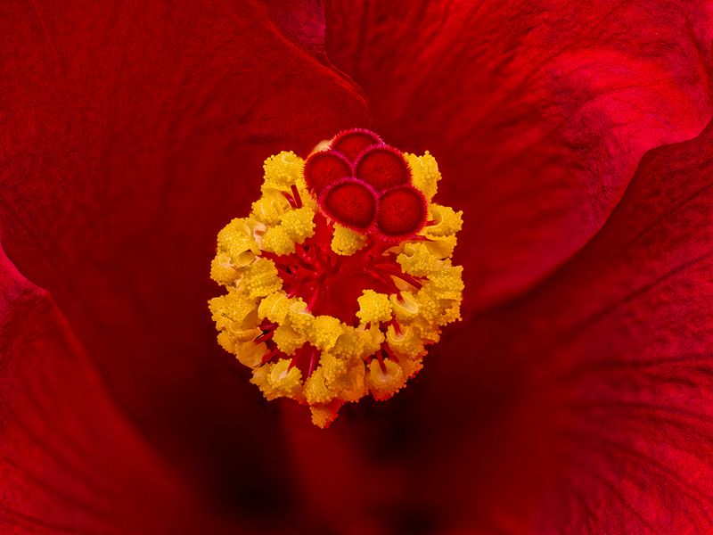 2024-06-30-12.37.51 ZS retouched_openWith.jpg