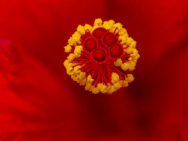 2024-06-30-05.27.31 ZS retouched_openWith.jpg