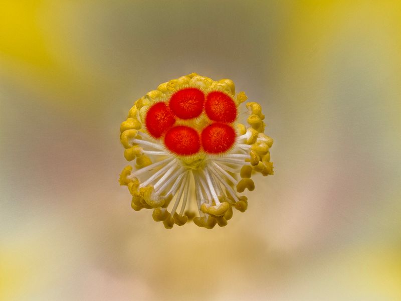 2024-07-08-02.44.16 ZS retouched_openWith.jpg