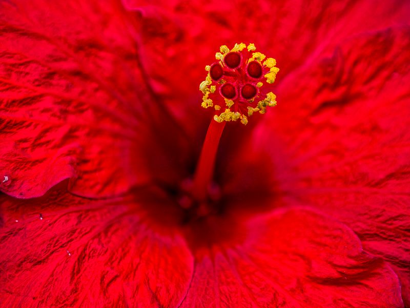 2024-07-09-12.52.01 ZS retouched_85_openWith.jpg