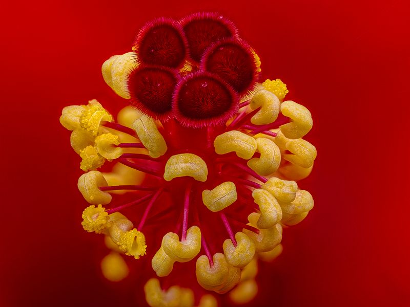 2024-07-10-10.13.18 ZS retouched_openWith.jpg