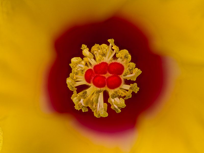 2024-07-15-02.16.13 ZS retouched_openWith.jpg