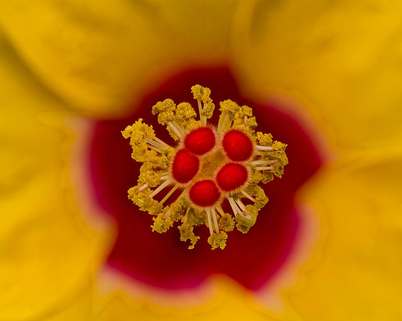 2024-07-16-04.56.01 ZS retouched_openWith.jpg