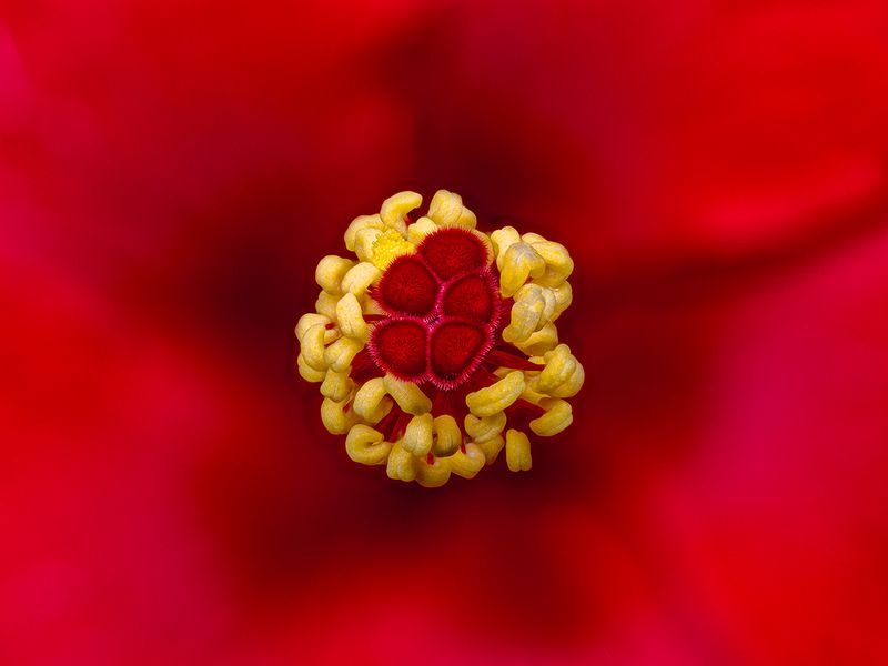 2024-07-17-09.37.54 ZS retouched_openWith.jpg