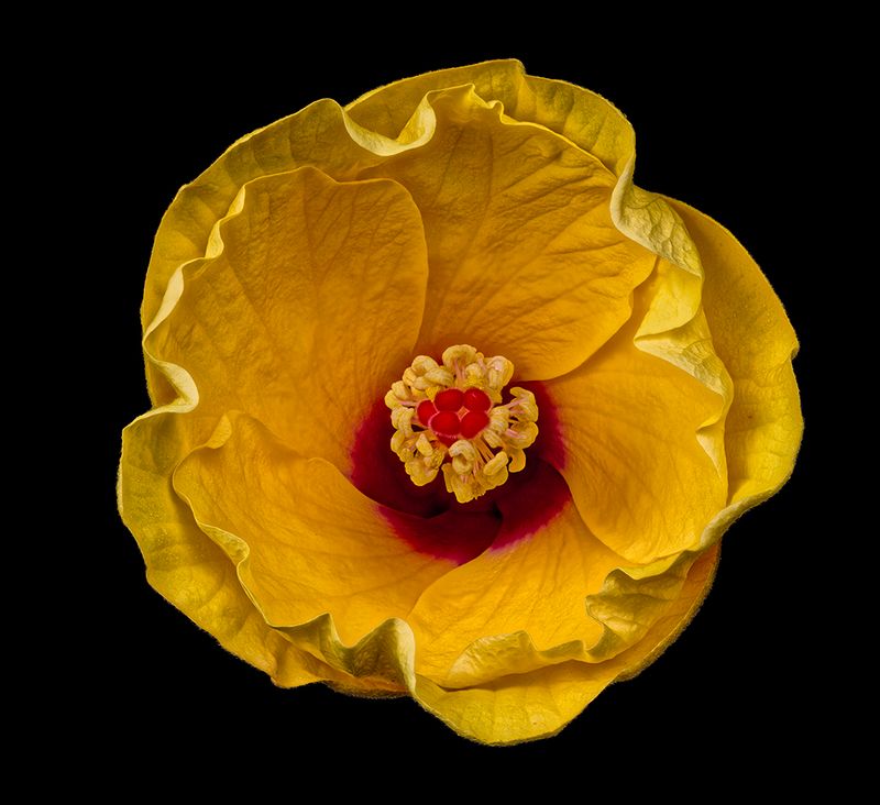 2024-07-25-07.40.35 ZS retouched_openWith.jpg