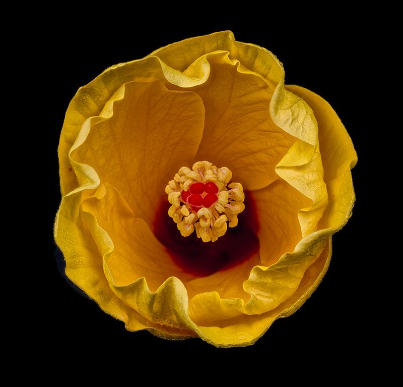 2024-07-25-07.16.59 ZS retouched_openWith.jpg