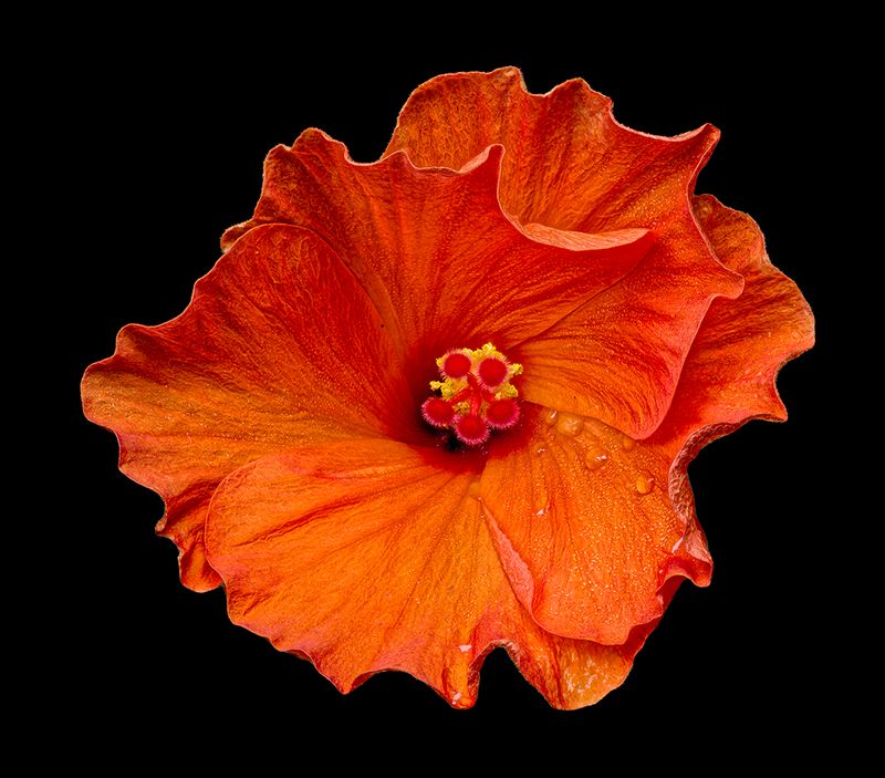 2024-07-25-12.49.39 ZS retouched_openWith.jpg