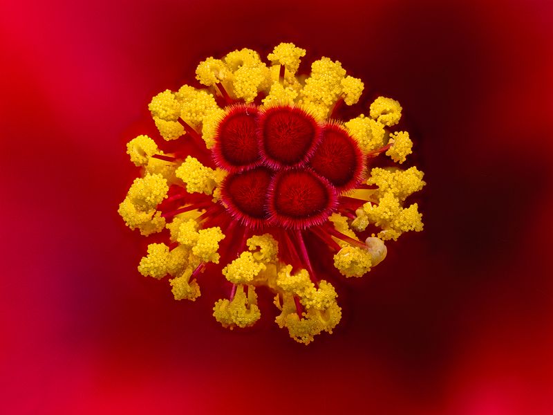 2024-07-26-12.17.16 ZS retouched_openWith.jpg