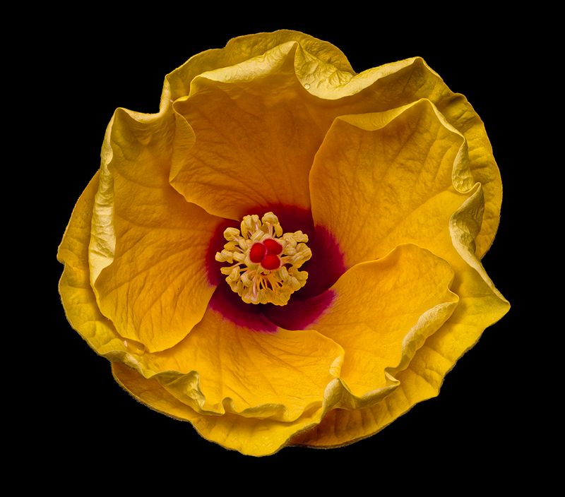 2024-07-28-09.58.21 ZS retouched_openWith.jpg