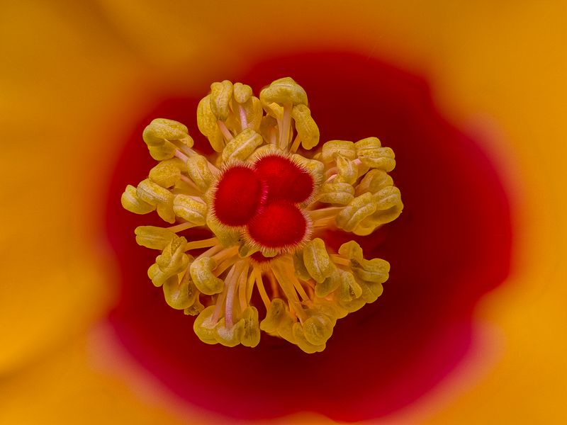 2024-07-28-10.38.44 ZS retouched_openWith.jpg