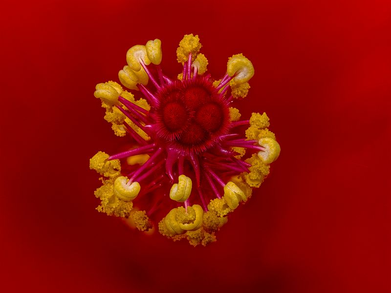 2024-07-28-12.01.26 ZS retouched_openWith.jpg