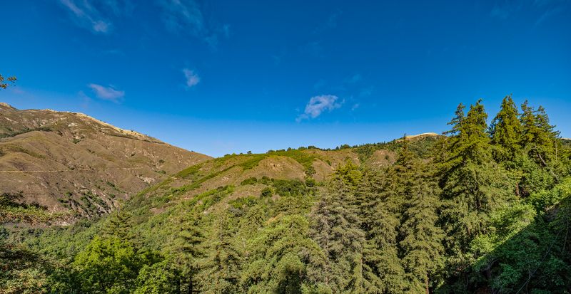 Untitled_Panorama-1_openWith.jpg