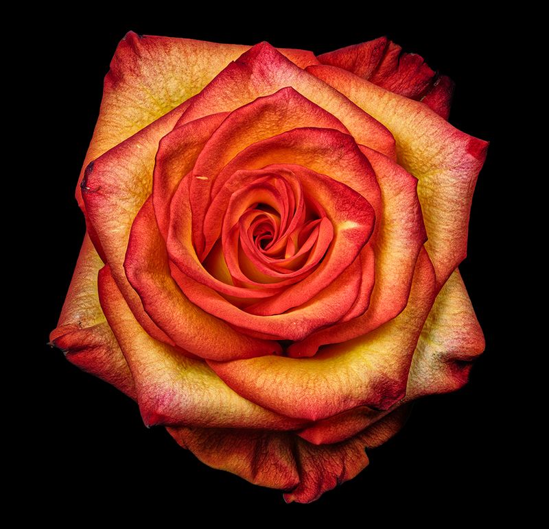 2024-11-18-10.24.52 ZS PMax_openWith.jpg