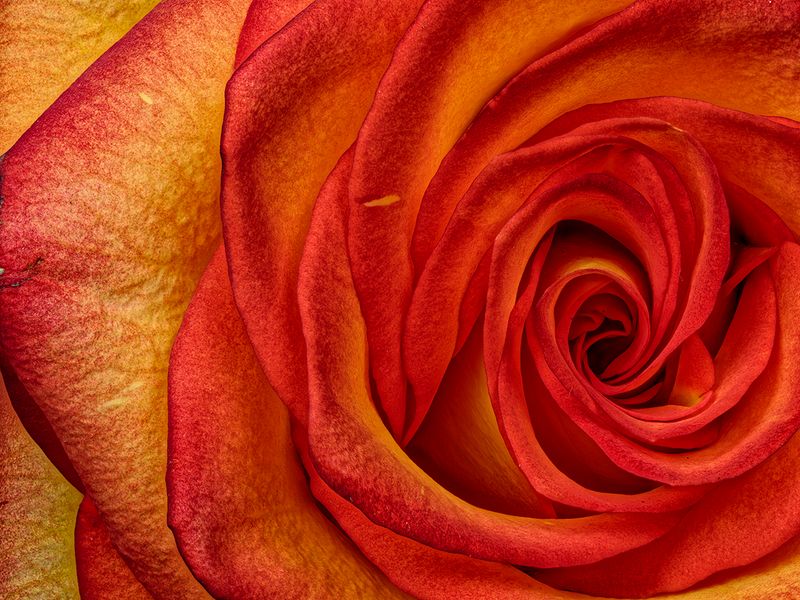 2024-11-18-11.02.22 ZS PMax_openWith.jpg