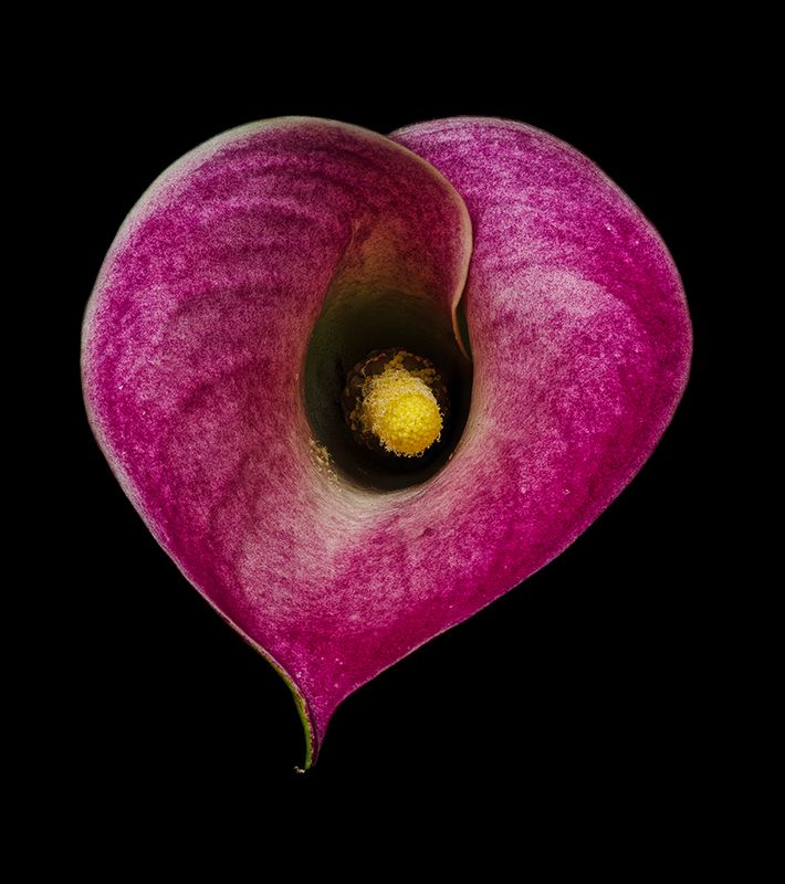 2024-11-19-09.01.09 ZS PMax_openWith.jpg