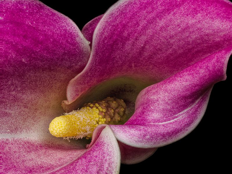 2024-11-27-01.30.23 ZS PMax_openWith.jpg