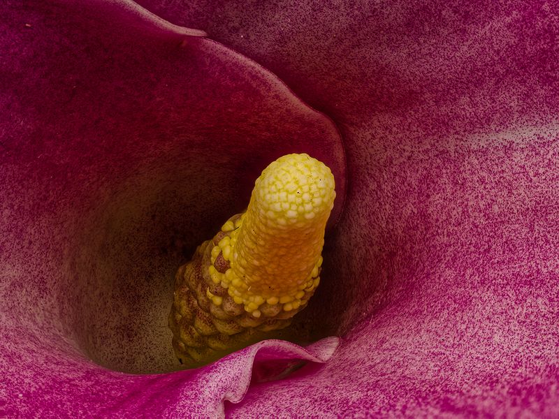 2024-11-29-12.03.07 ZS PMax_openWith.jpg