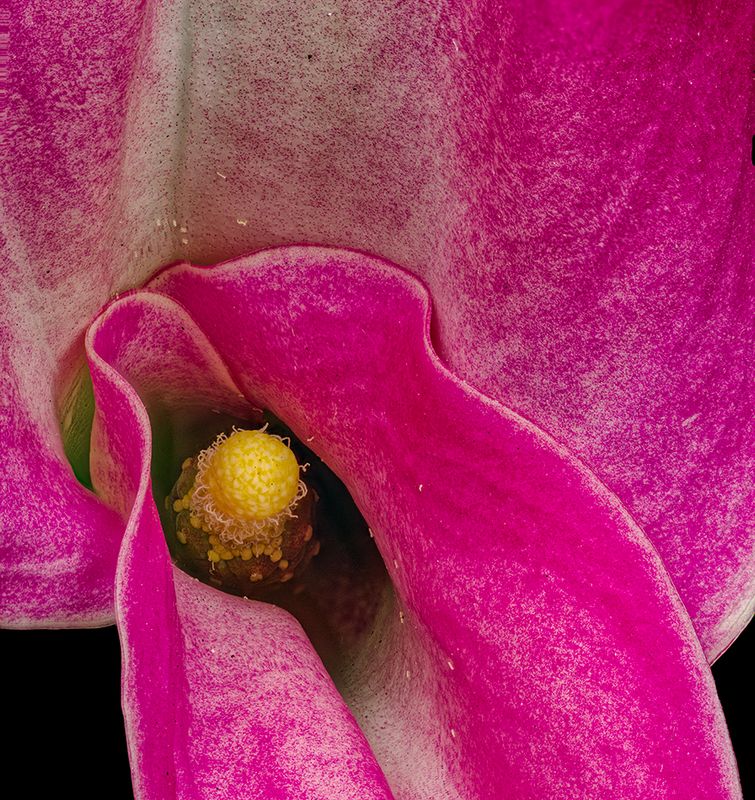 2024-11-28-10.11.01 ZS PMax_openWith.jpg