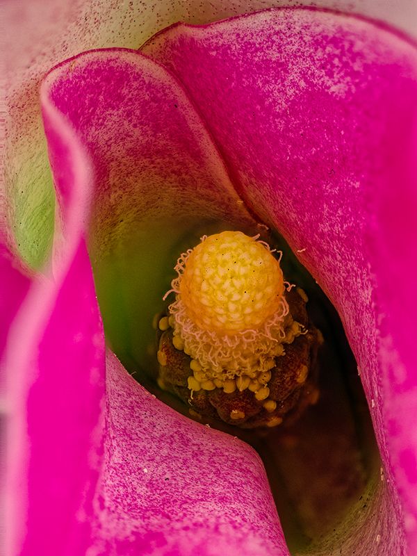 2024-11-28-12.39.07 ZS PMax_openWith.jpg