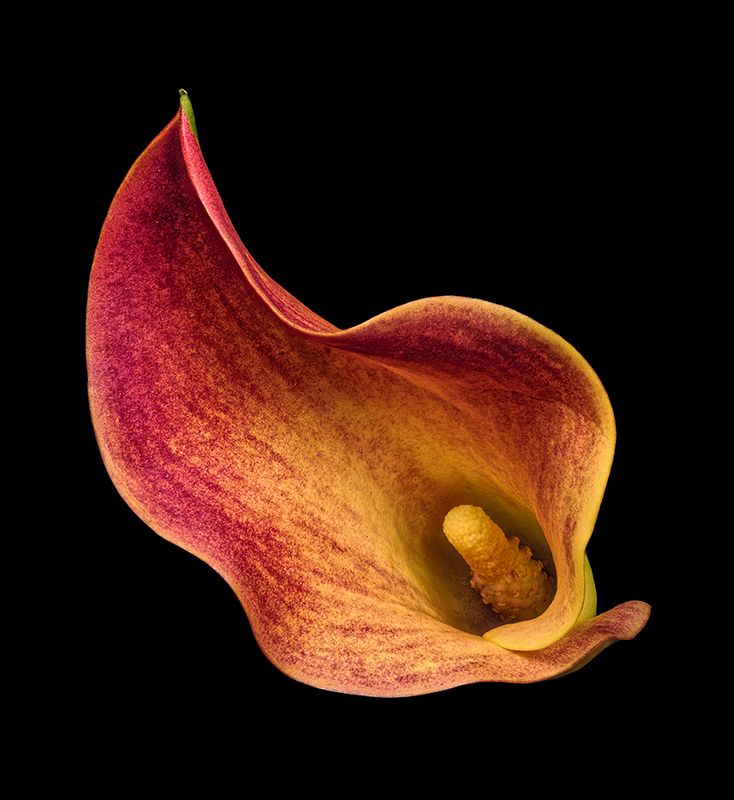 2025-01-23-11.56.03 ZS PMax_openWith.jpg