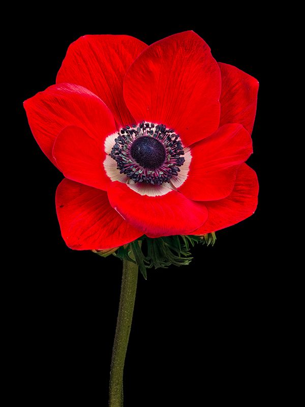 2025-03-11-14.52.26 ZS PMax_openWith.jpg