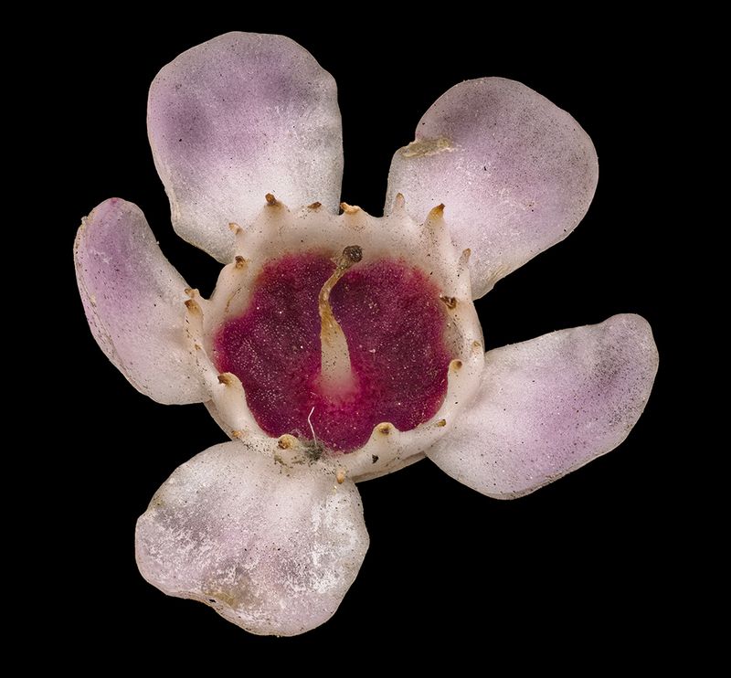 2025-03-14-15.23.50 ZS PMax_openWith.jpg