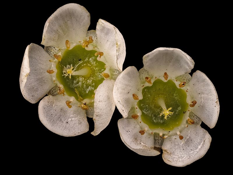 2025-03-14-13.59.38 ZS PMax_openWith.jpg