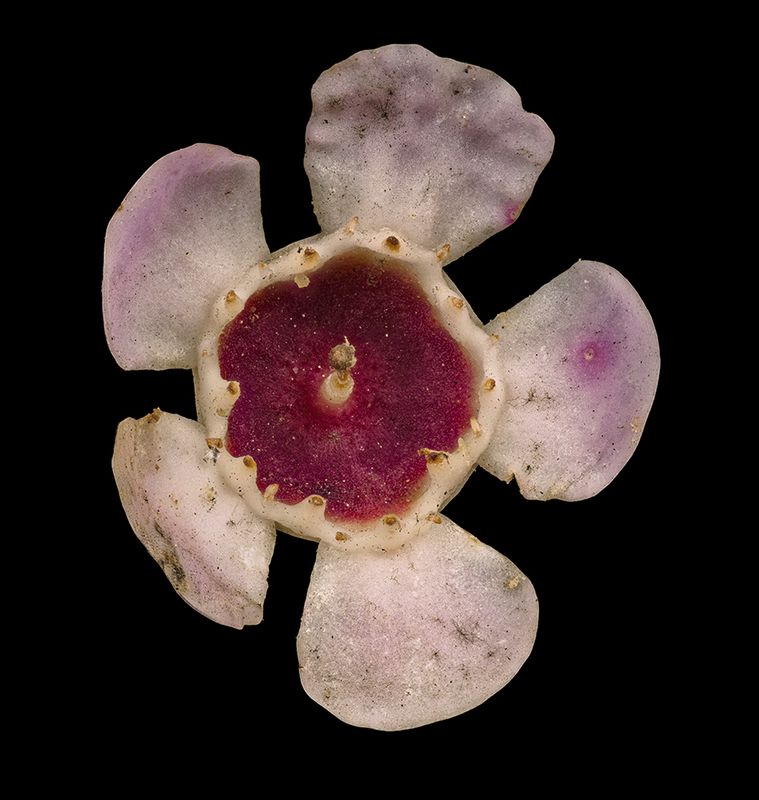 2025-03-15-12.39.51 ZS PMax_openWith.jpg