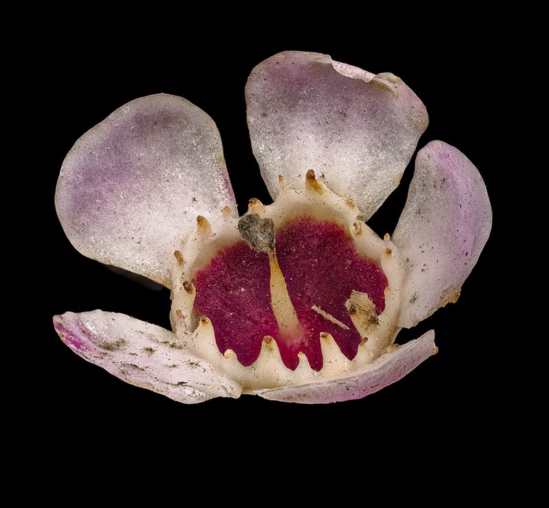 2025-03-15-13.49.32 ZS PMax_openWith.jpg
