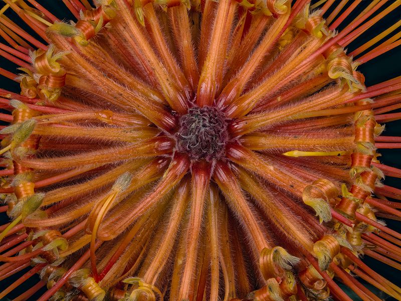 2025-03-19-14.25.42 ZS PMax_openWith.jpg