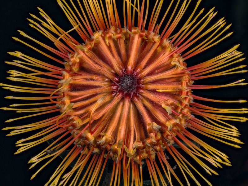 2025-03-19-14.11.38 ZS PMax_openWith.jpg