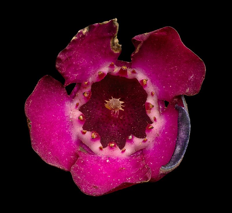 2025-03-21-11.30.14 ZS PMax_openWith.jpg