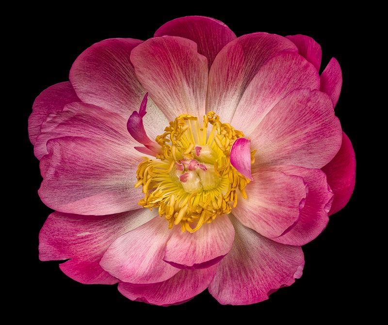 2025-03-21-13.33.04 ZS PMax_openWith.jpg